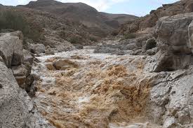 Wadi Tzeelim flash flood